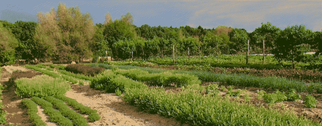 photo de la ferme de la Grande Rivière